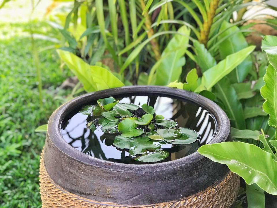 Verona Lanta Resort Ko Lanta Dış mekan fotoğraf